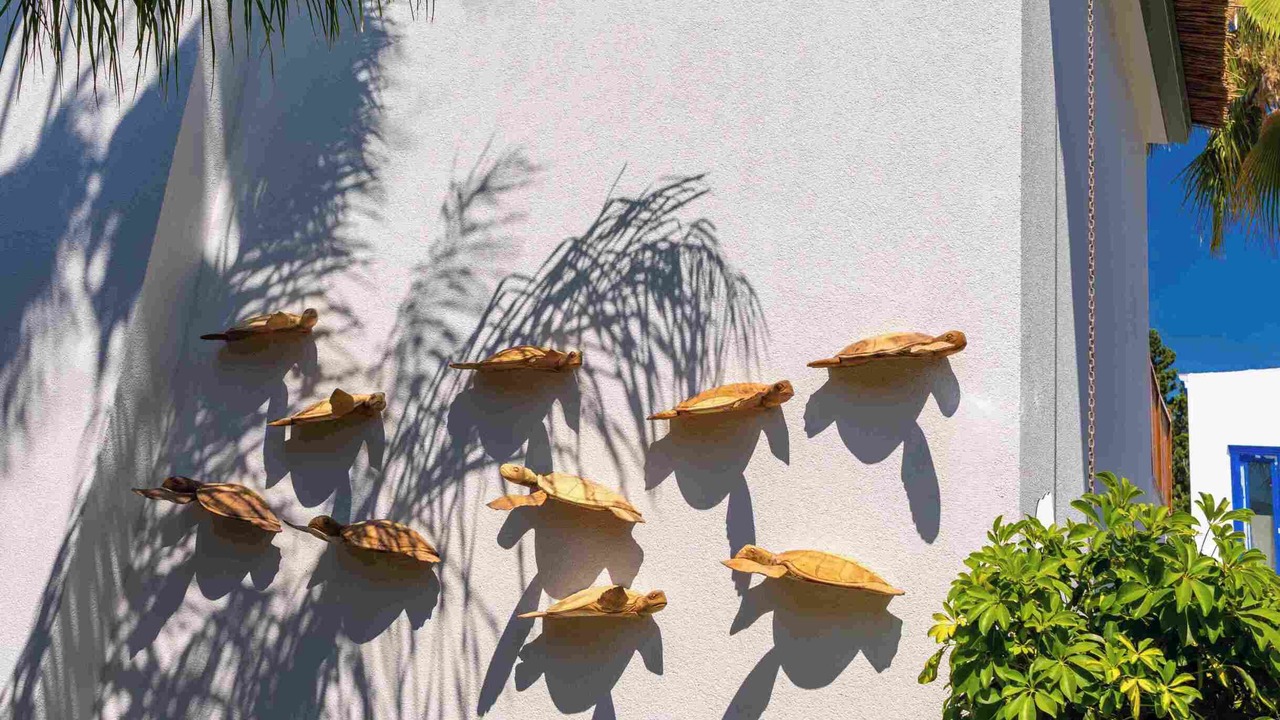 Photo of Outdoor in Torba