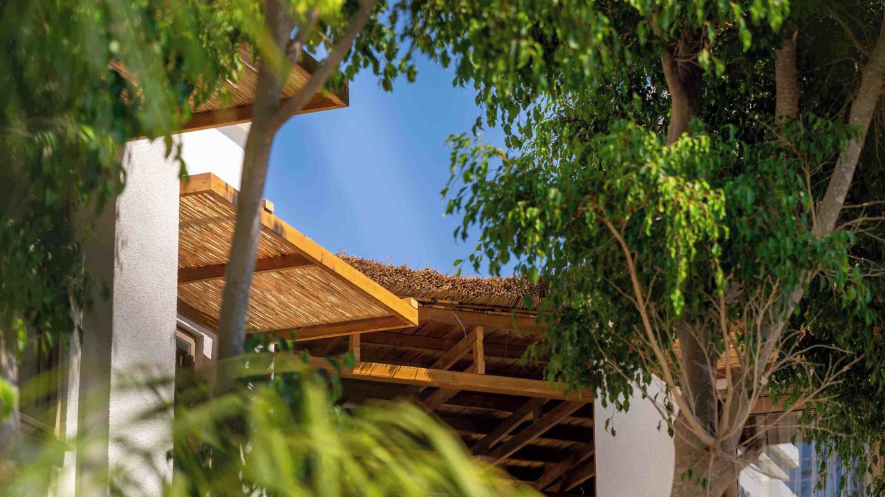 Photo of Outdoor in Torba