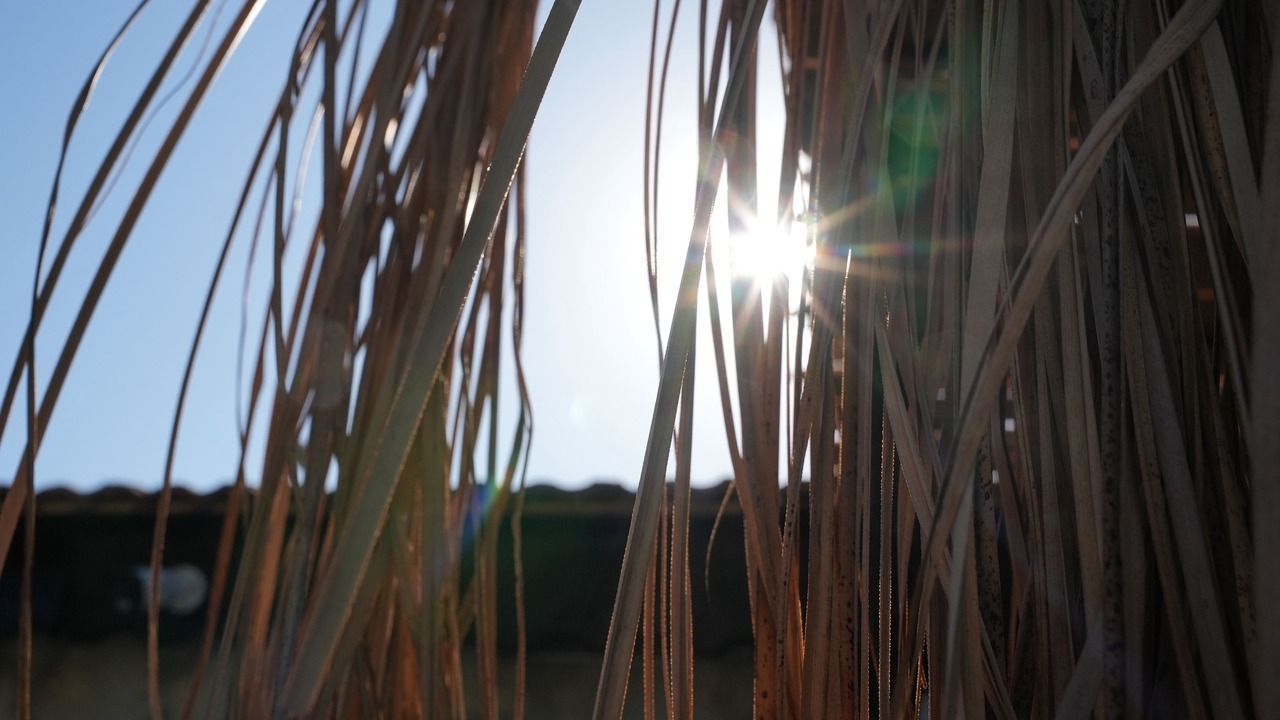 Photo of Outdoor in Hisaronu