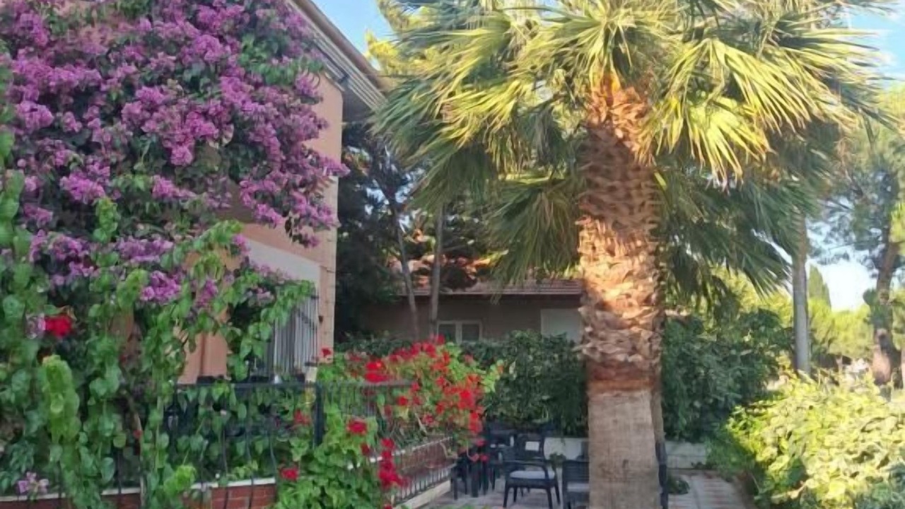 Photo of Outdoor in Oren Mahallesi