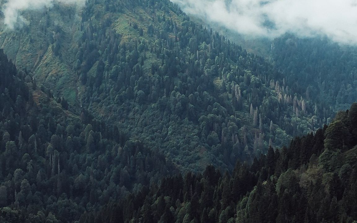 Photo of Outdoor in Ayder Yaylasi