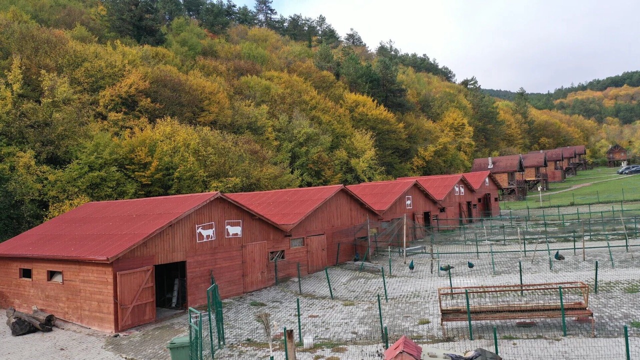 Photo of Outdoor in Mengen