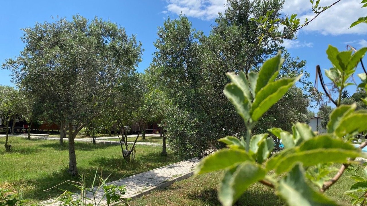 Photo of Outdoor in Fethiye City Center