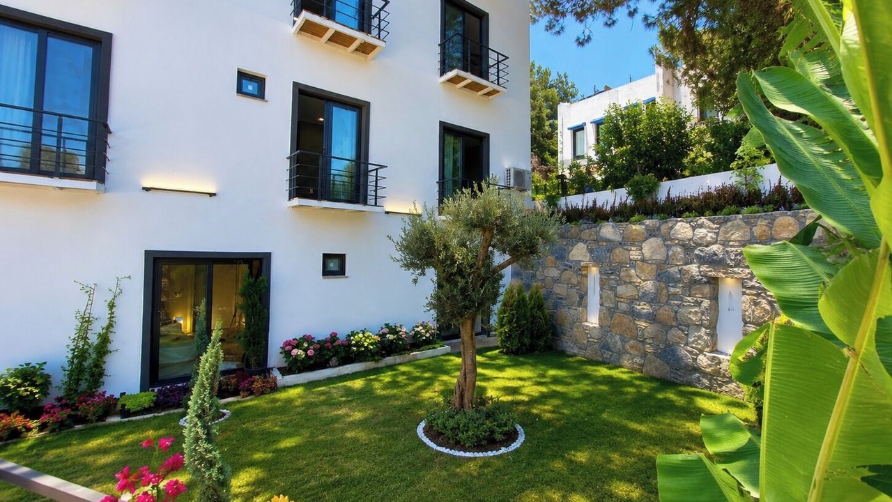 Photo of Outdoor in Torba