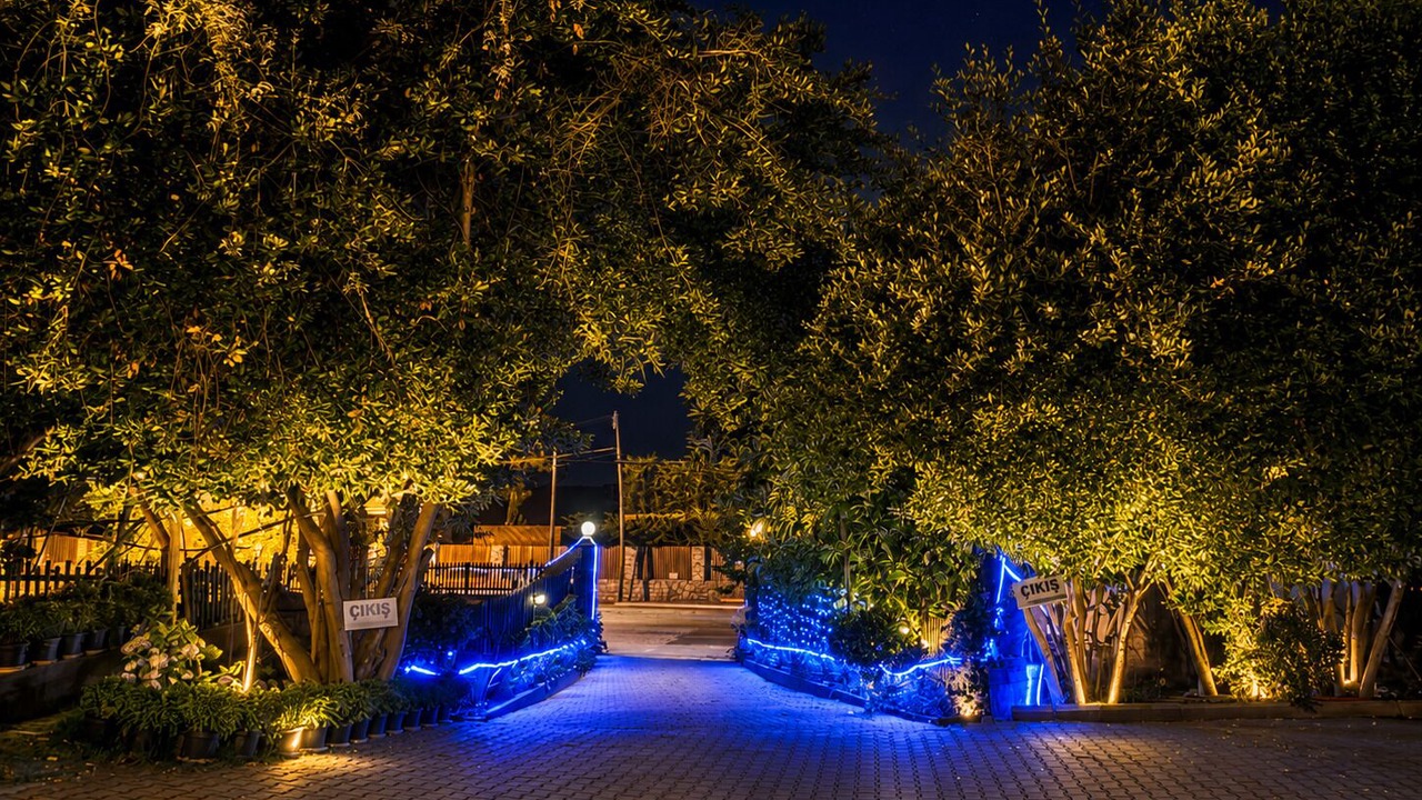 Photo of Outdoor in Polonezkoy