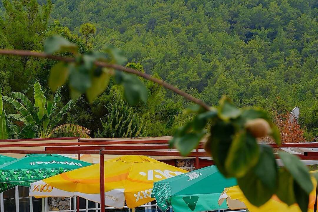 Photo of Outdoor in Olympos