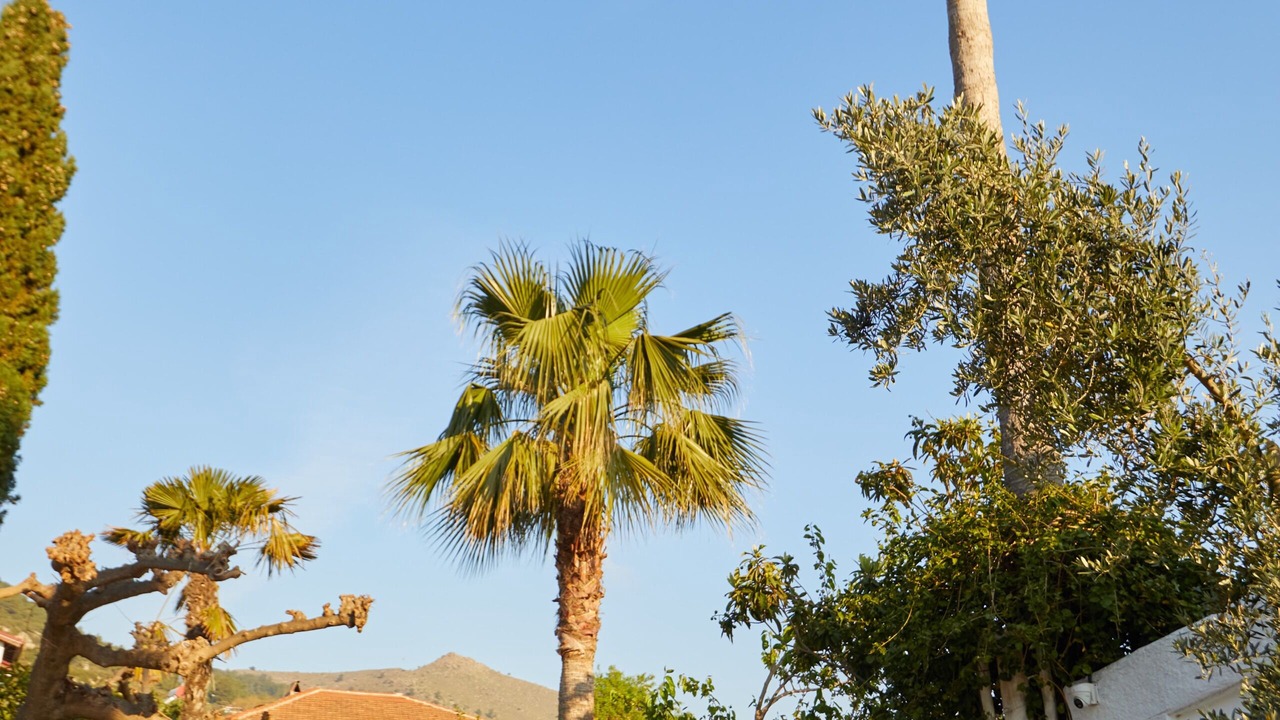 Photo of Outdoor in Selimiye