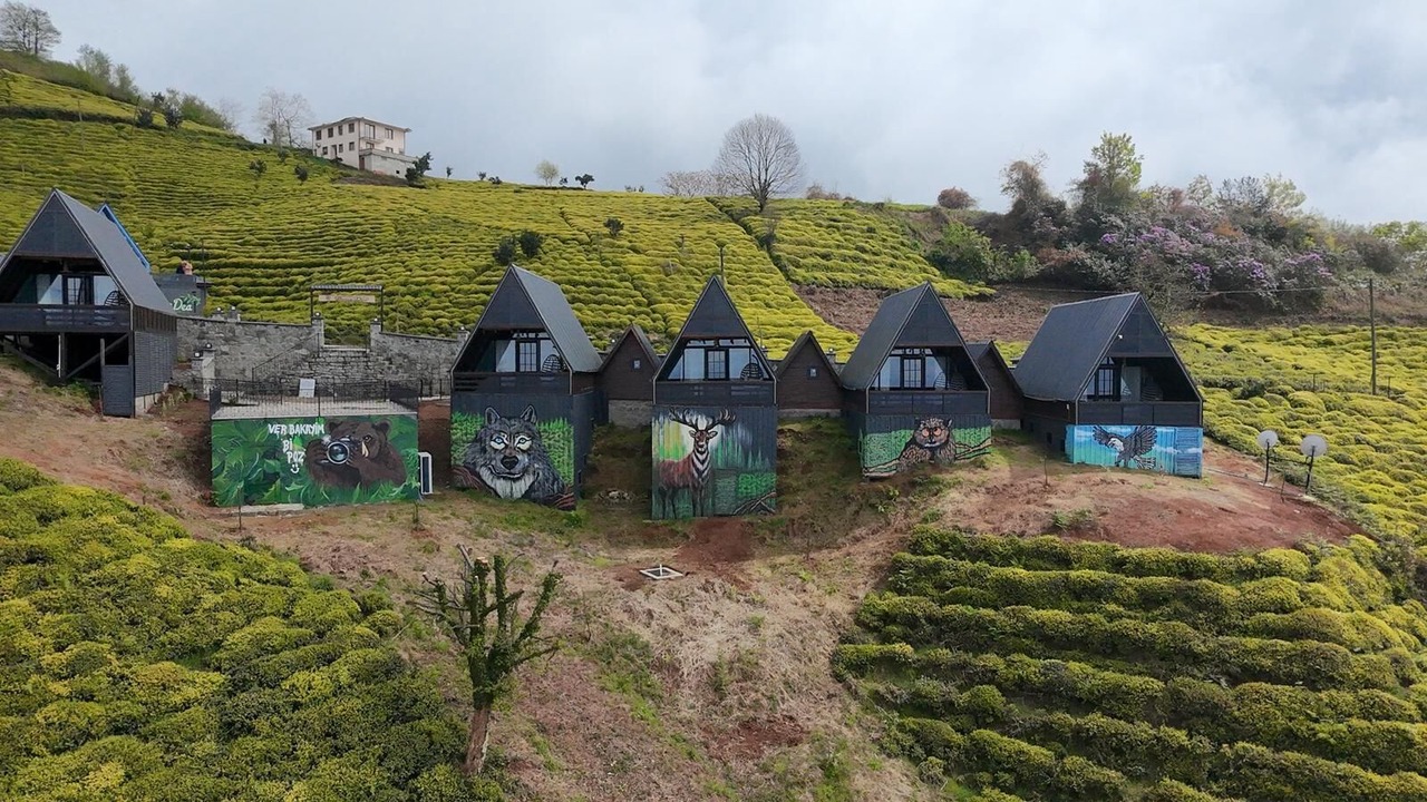 Photo of Outdoor in Cayeli
