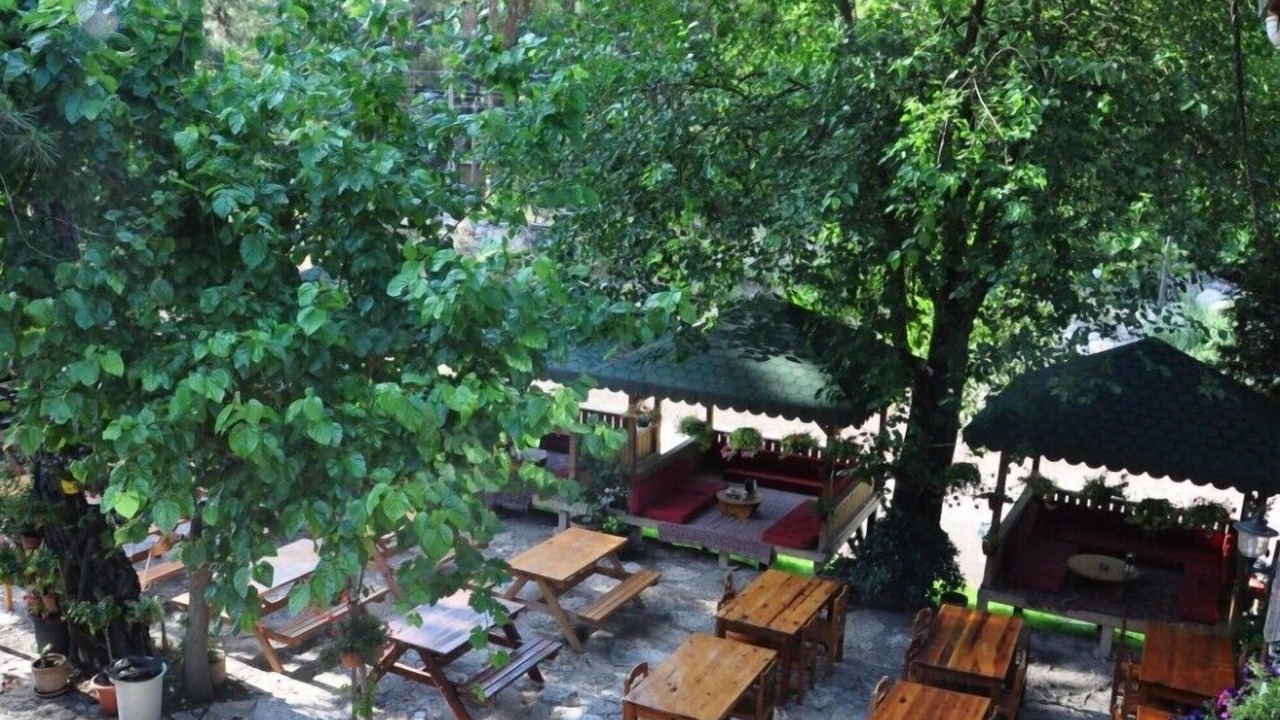 Photo of Others in Olympos