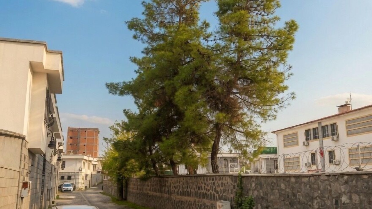 Photo of Outdoor in Sur