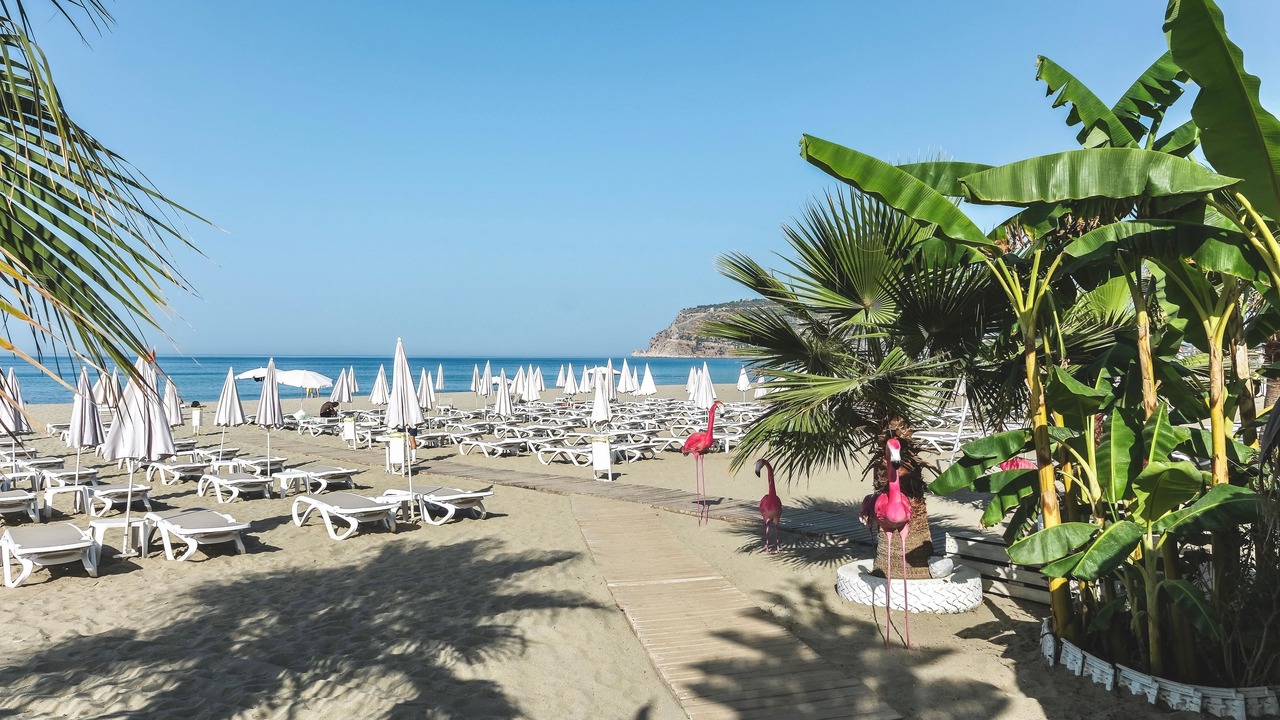 Photo of Others in Alanya