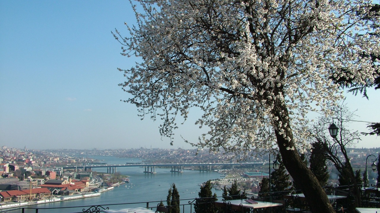 Photo of Others in Sakarya