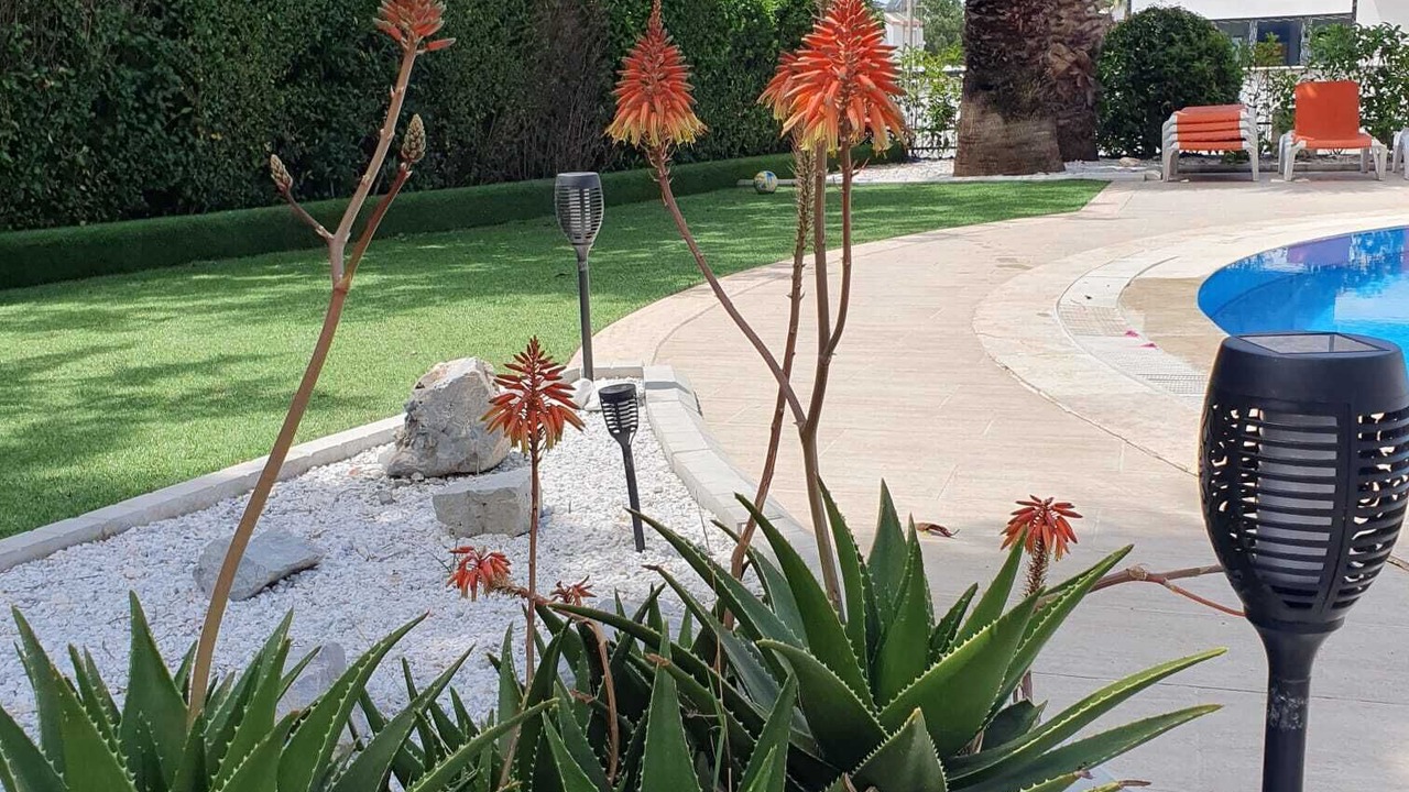 Photo of Outdoor in Belek