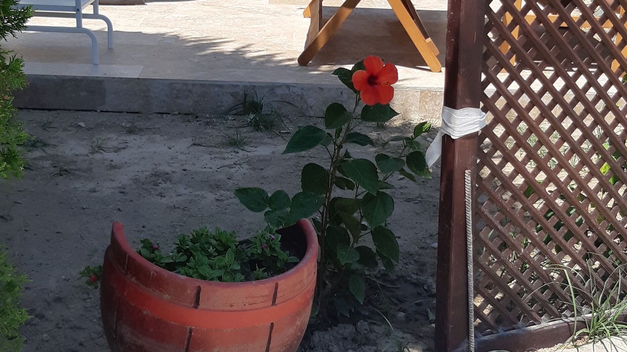 Photo of Patio Balcony in Bodrum City Center