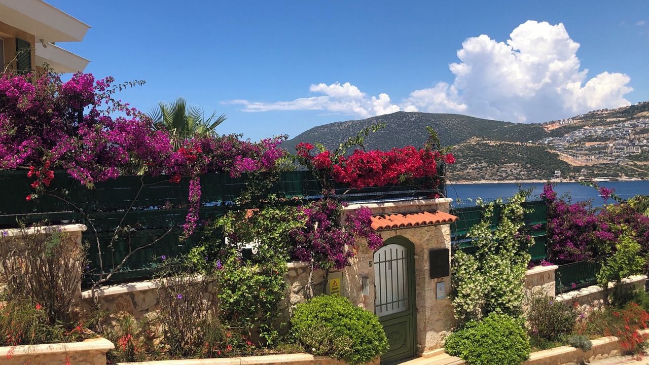Photo of Outdoor in Kalkan