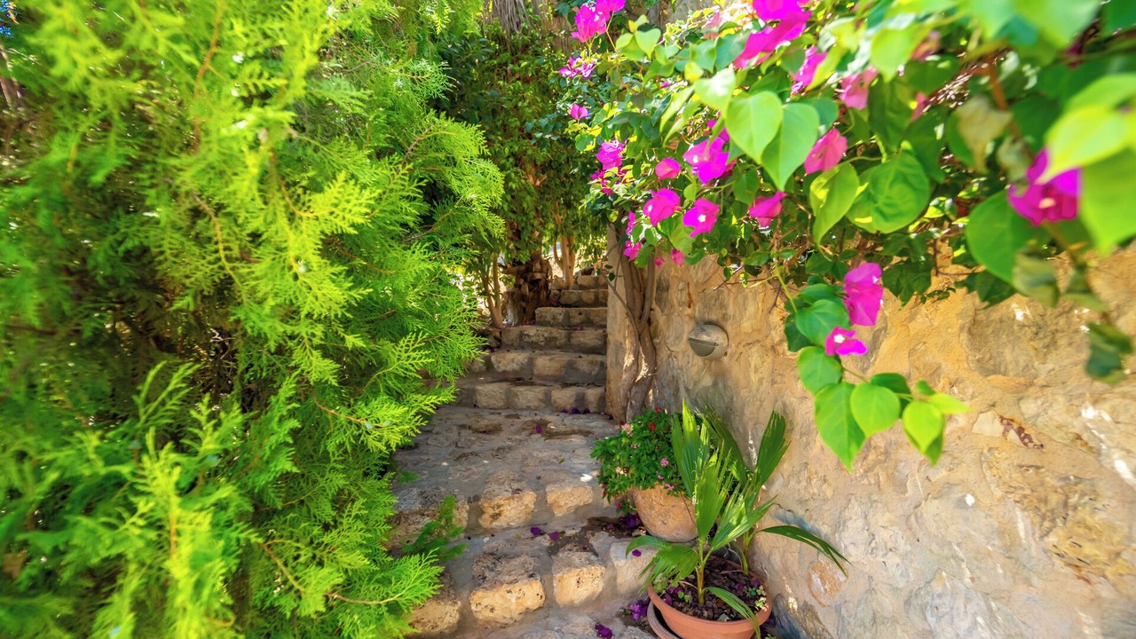 Photo of Outdoor in Kalkan