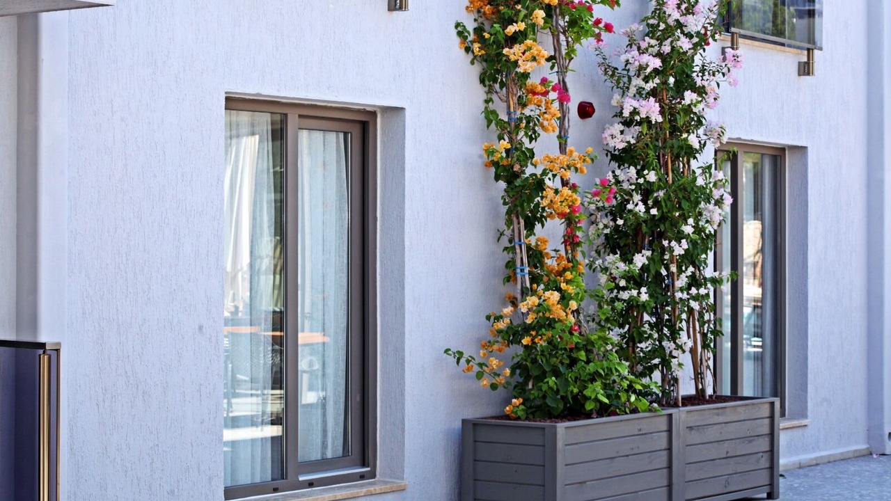 Photo of Outdoor in Gumbet