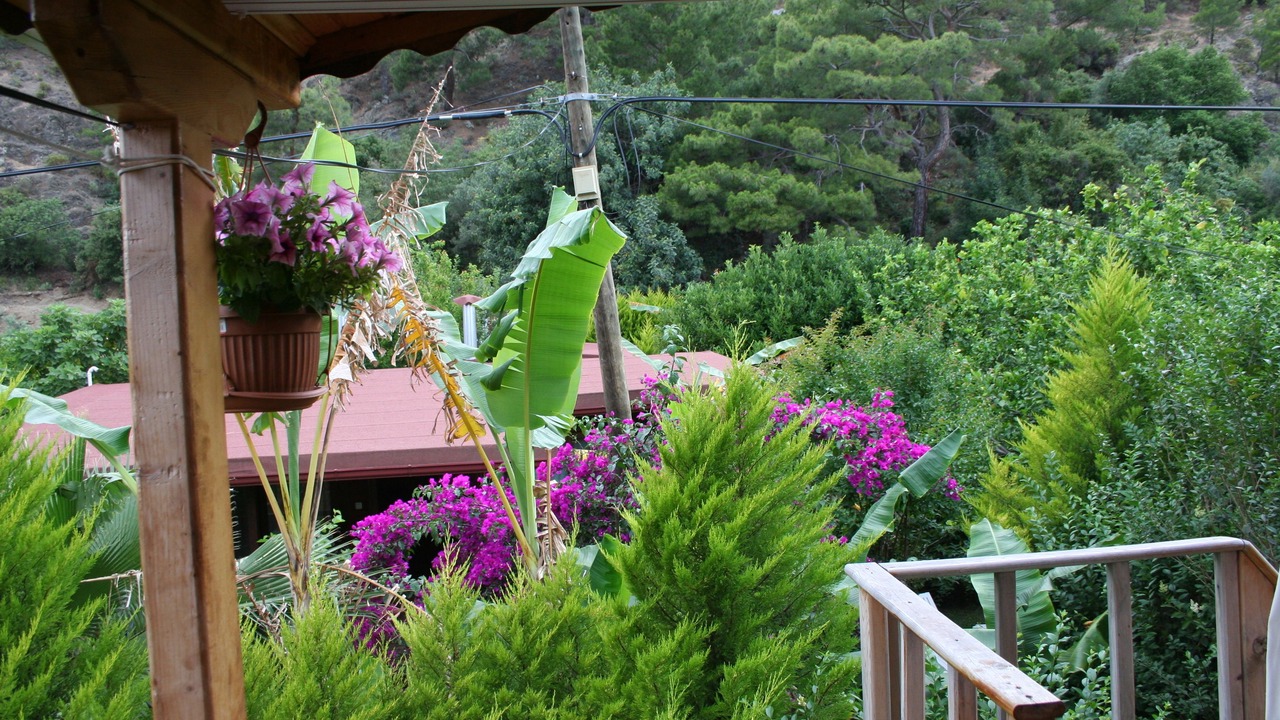 Photo of Outdoor in Cirali