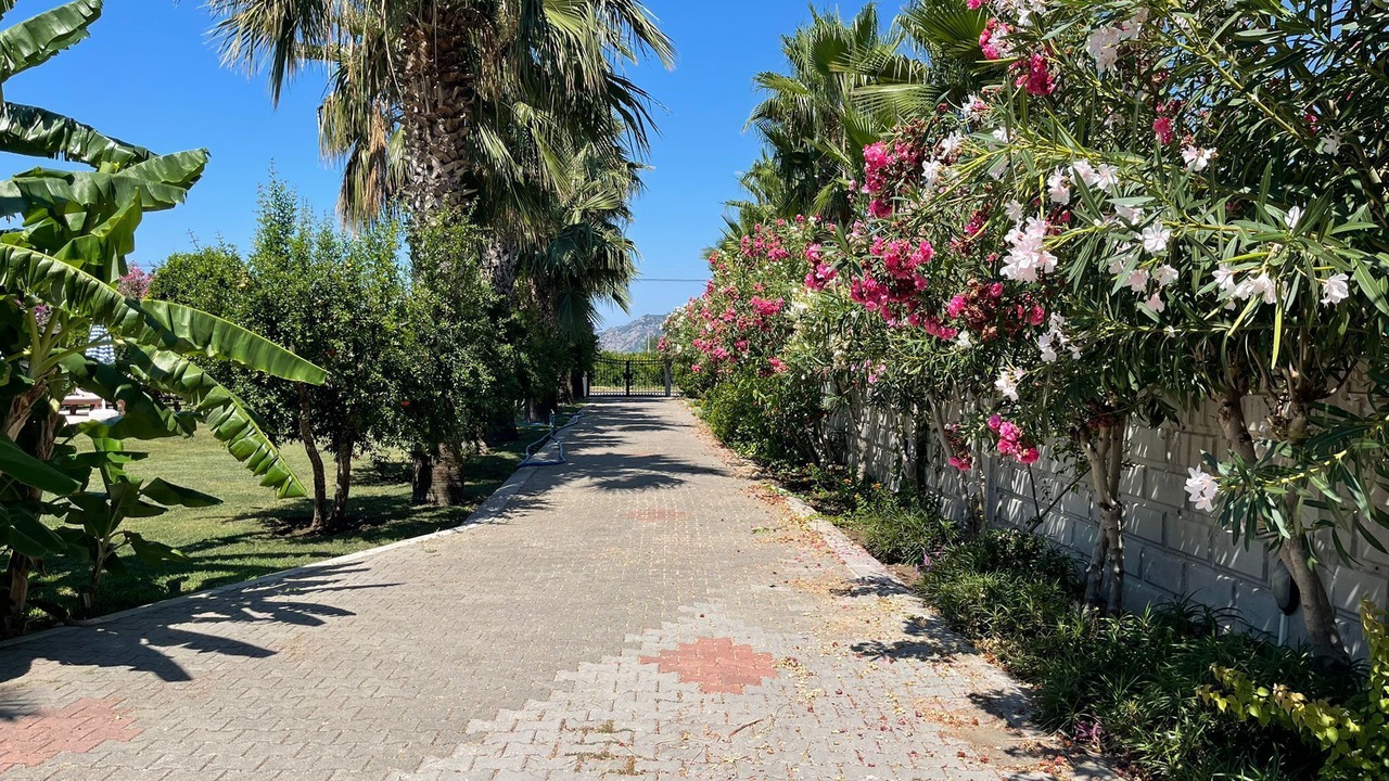Photo of Others in Dalyan
