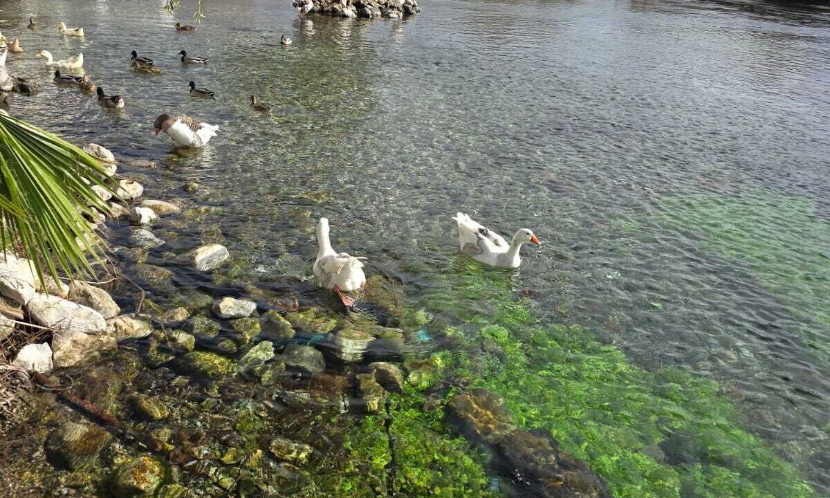 Photo of Others in Akyaka