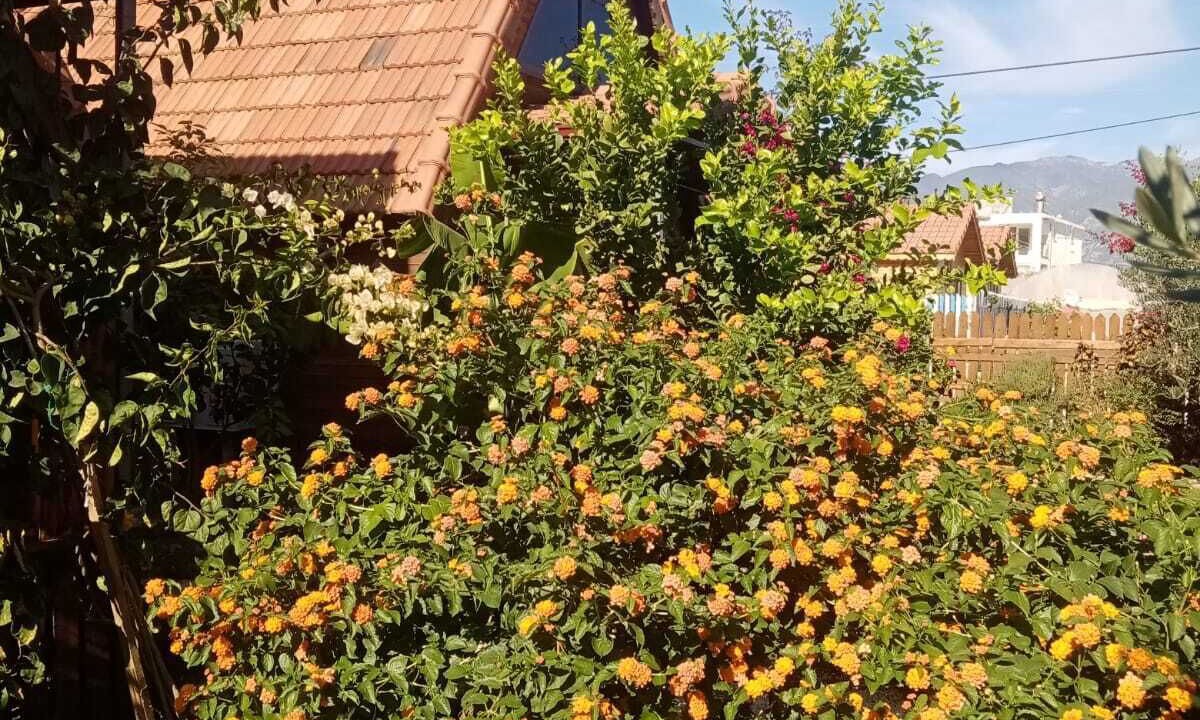 Photo of Outdoor in Demre