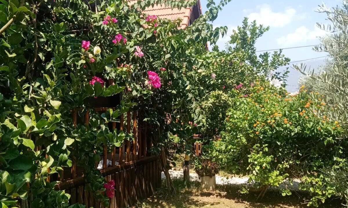 Photo of Outdoor in Demre