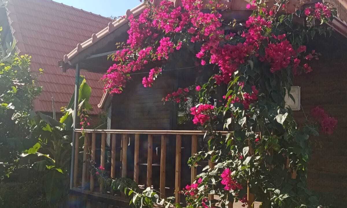 Photo of Outdoor in Demre