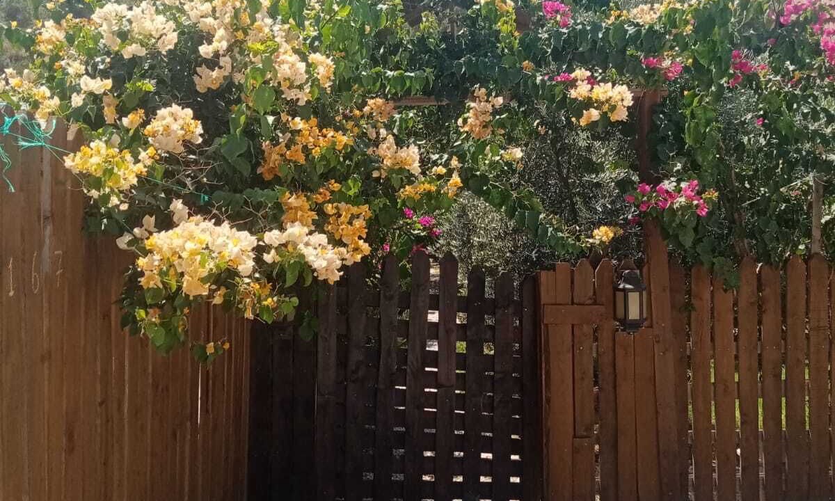 Photo of Outdoor in Demre