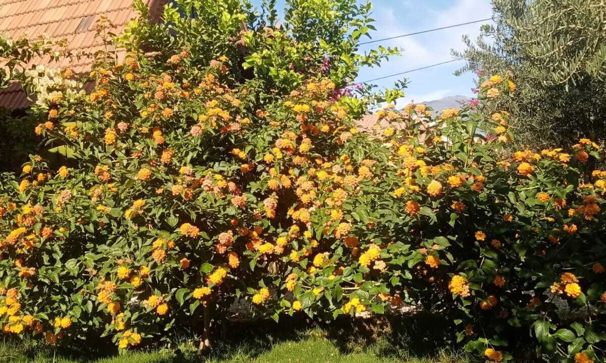 Photo of Outdoor in Demre