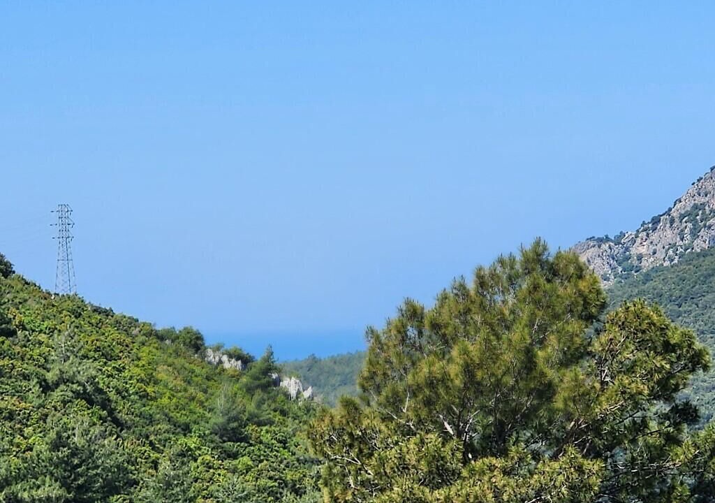 Photo of Others in Oludeniz