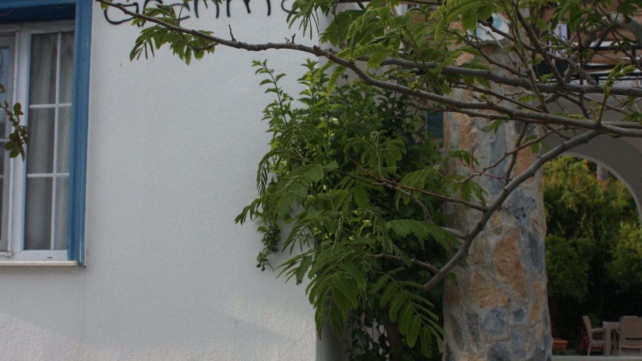 Photo of Outdoor in Bodrum City Center