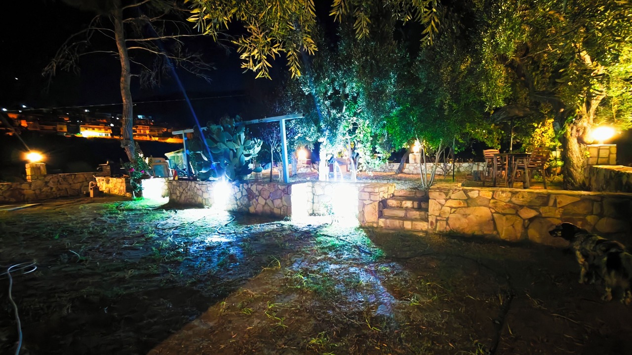 Photo of Outdoor in Milas