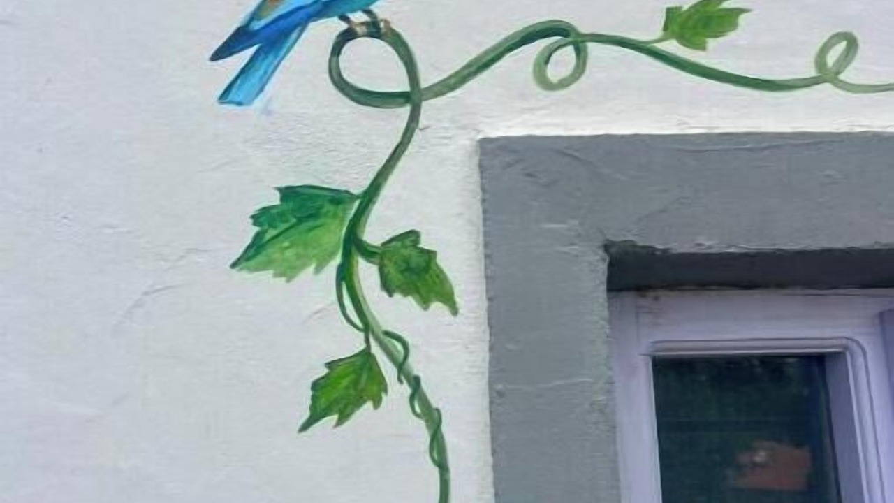 Photo of Outdoor in Canakkale