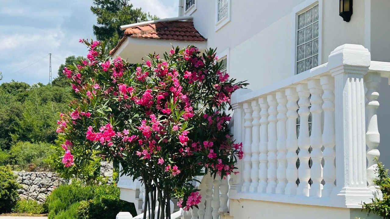 Photo of Outdoor in Hisaronu