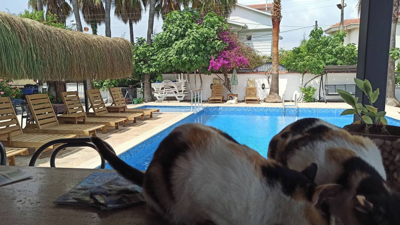 Photo of Outdoor in Ortaca