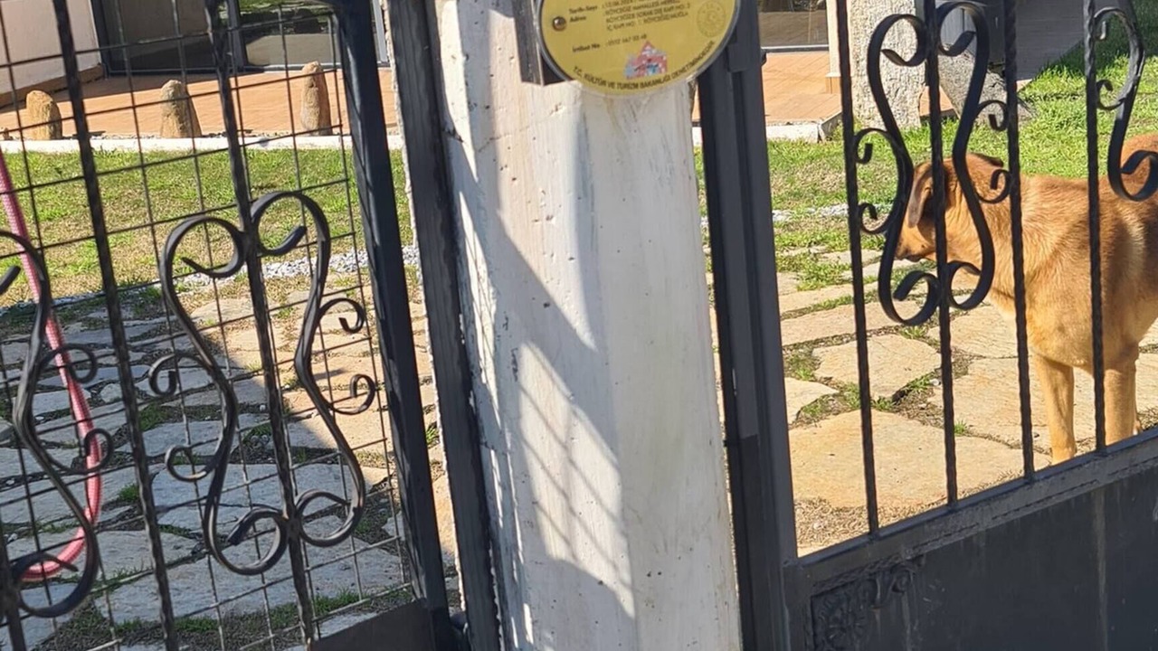 Photo of Outdoor in Koycegiz