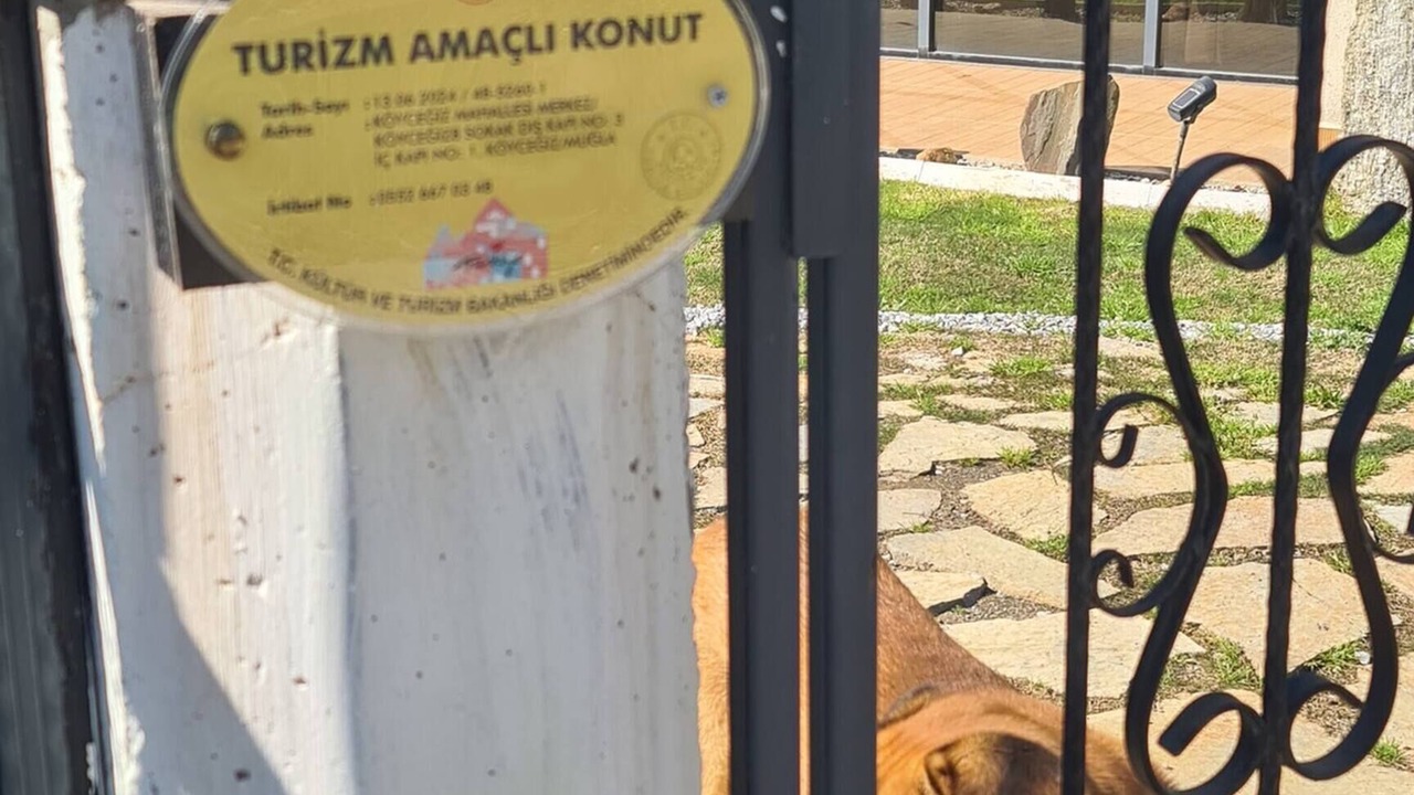 Photo of Outdoor in Koycegiz