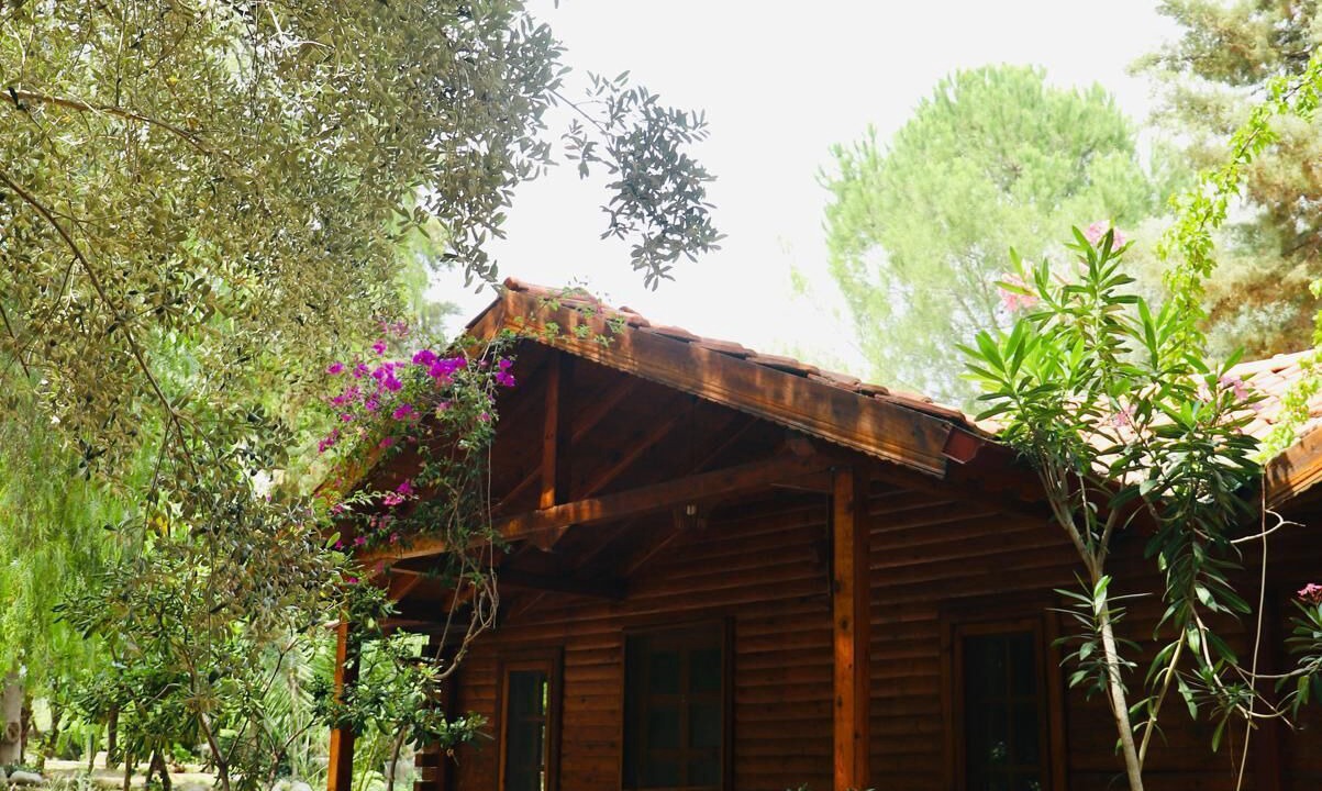 Photo of Outdoor in Hayitbuku