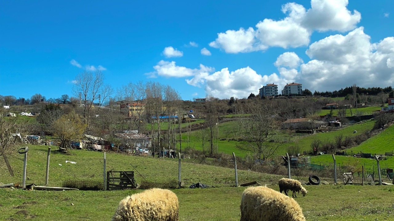 Photo of Others in Arnavutkoy