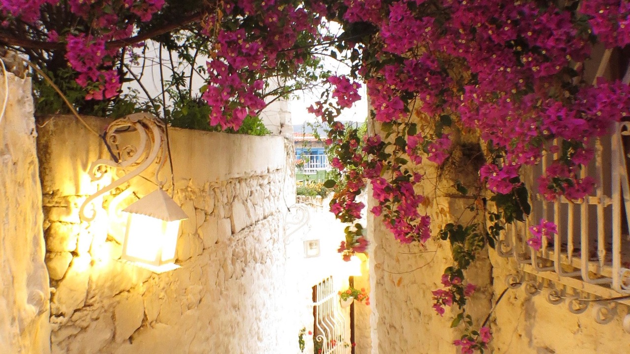 Photo of Outdoor in Marmaris City Center
