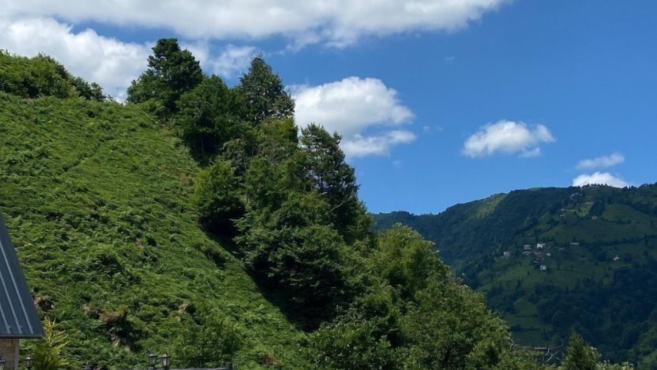 Photo of Outdoor in Cayirduzu