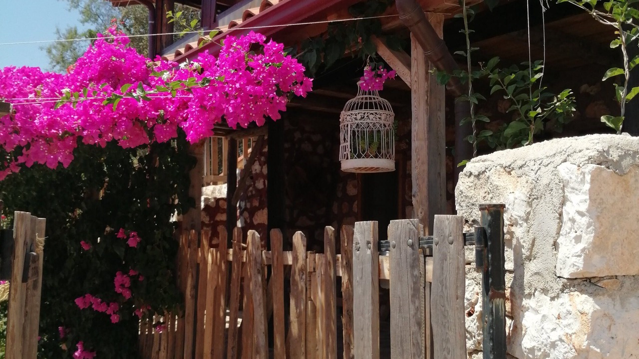 Photo of Outdoor in Demre