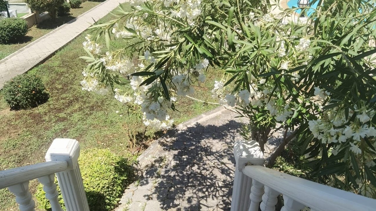 Photo of Outdoor in Oludeniz