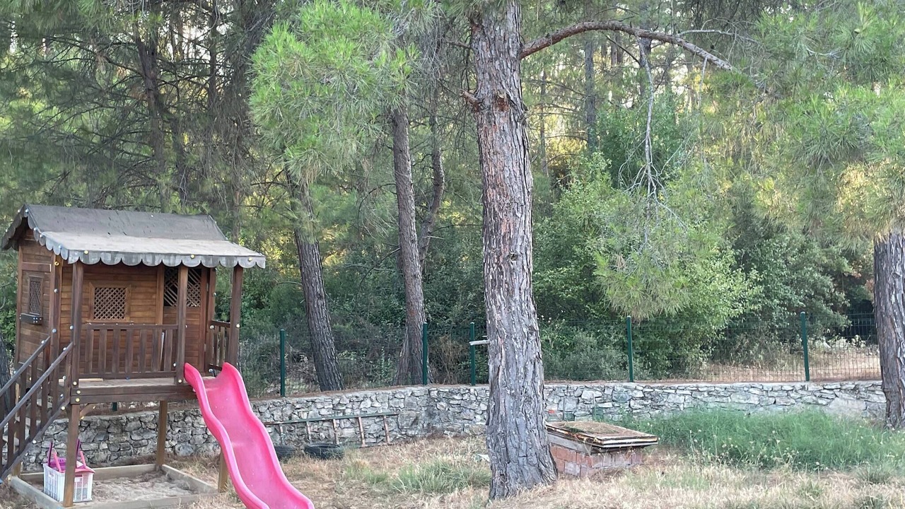 Photo of Others in Milas
