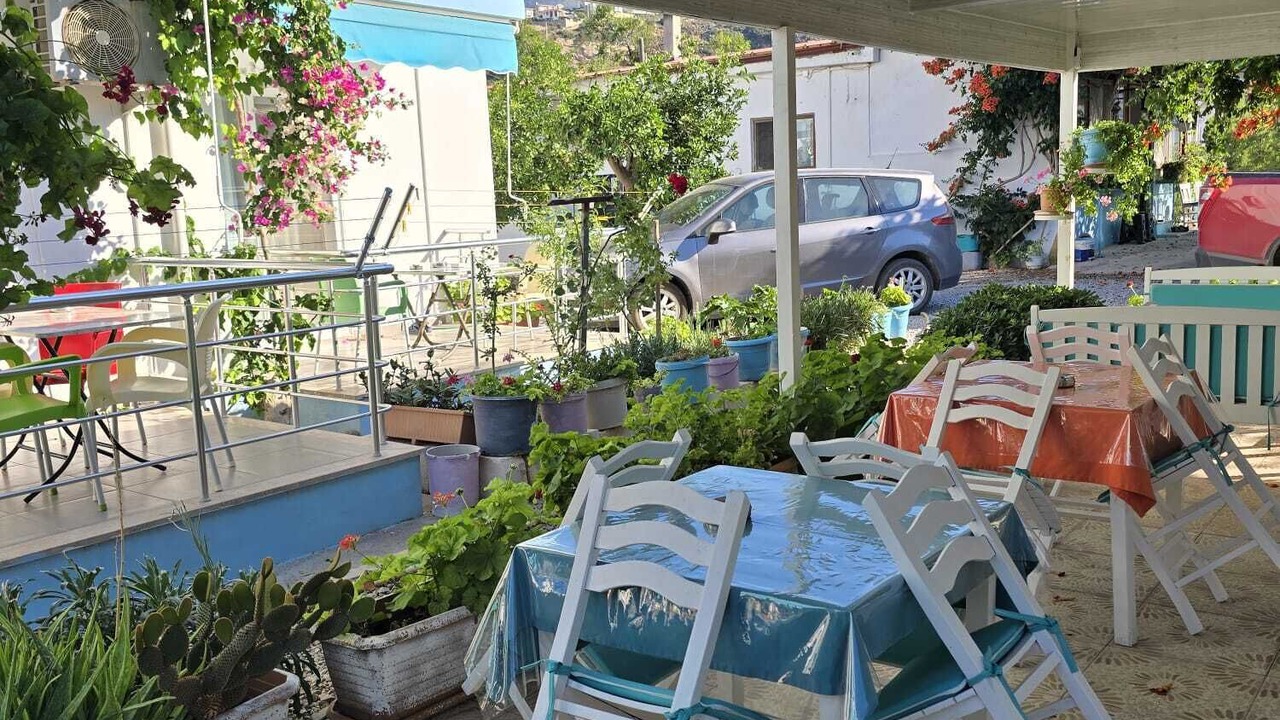 Photo of Outdoor in Palamutbuku