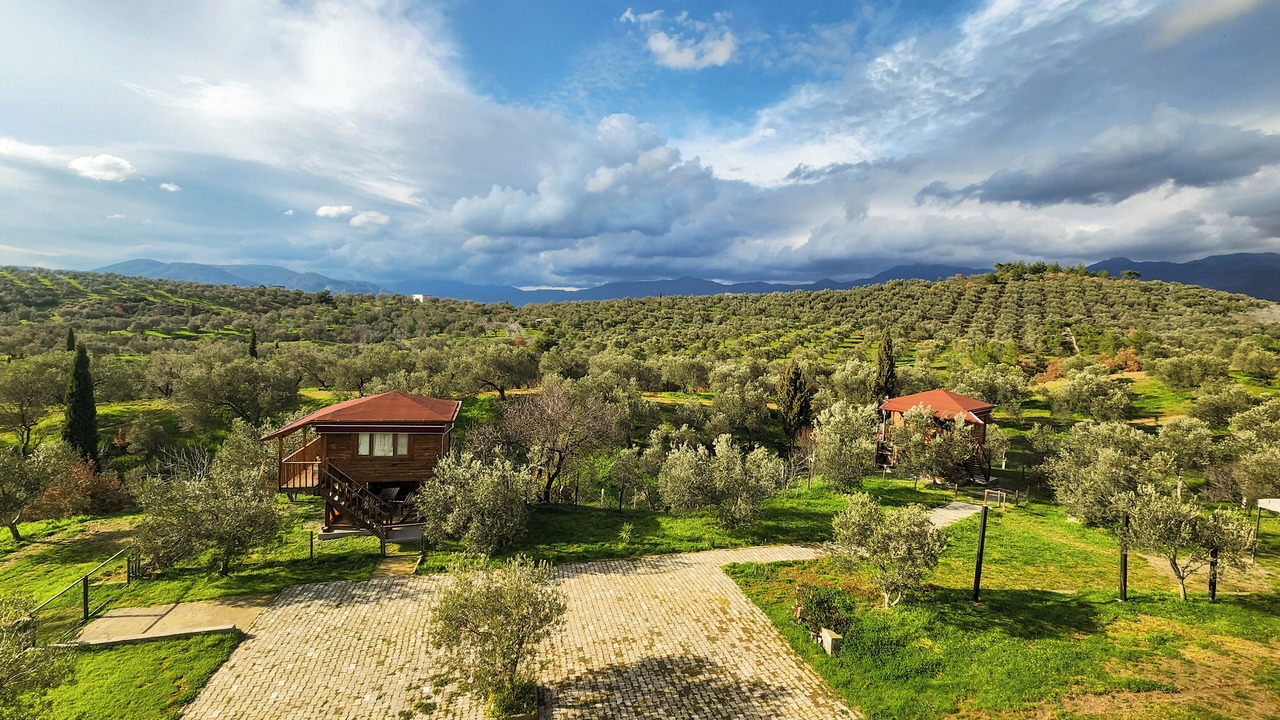 Photo of Outdoor in Zeytinli