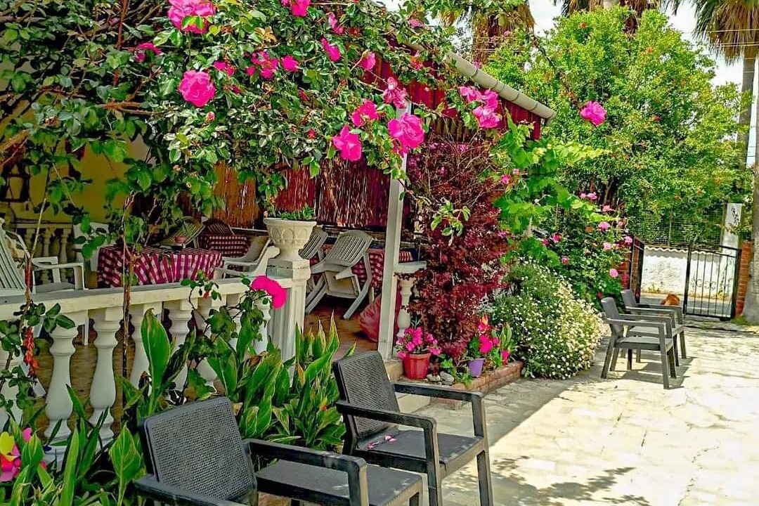 Photo of Livingroom in Dalyan