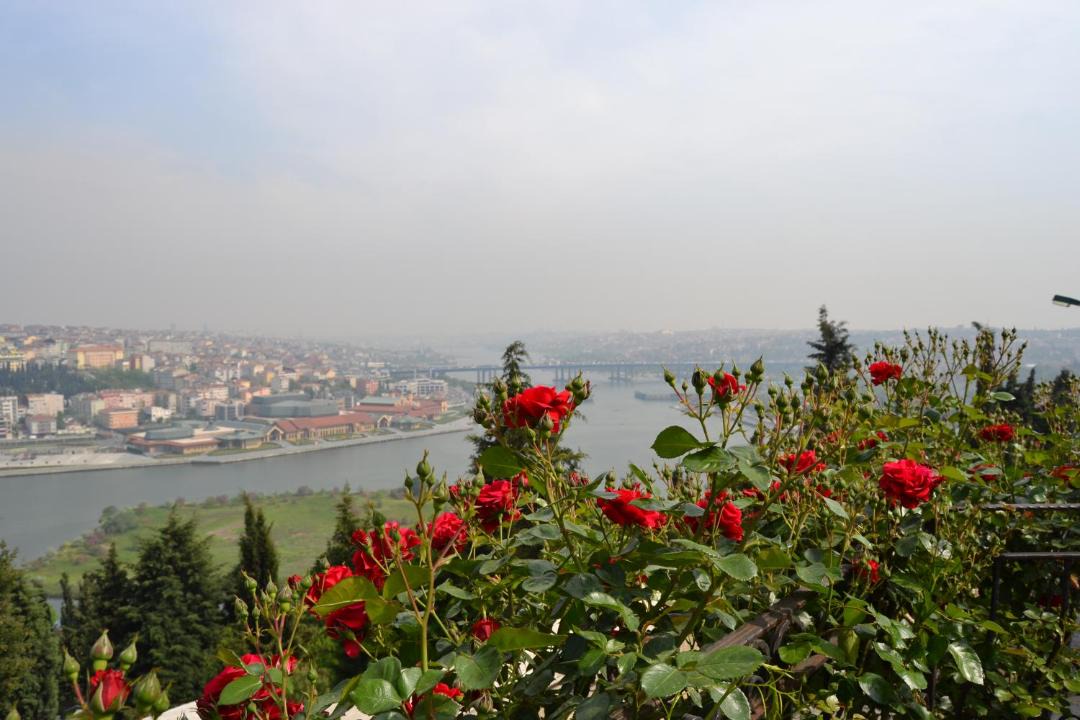 Photo of Others in Sakarya Province