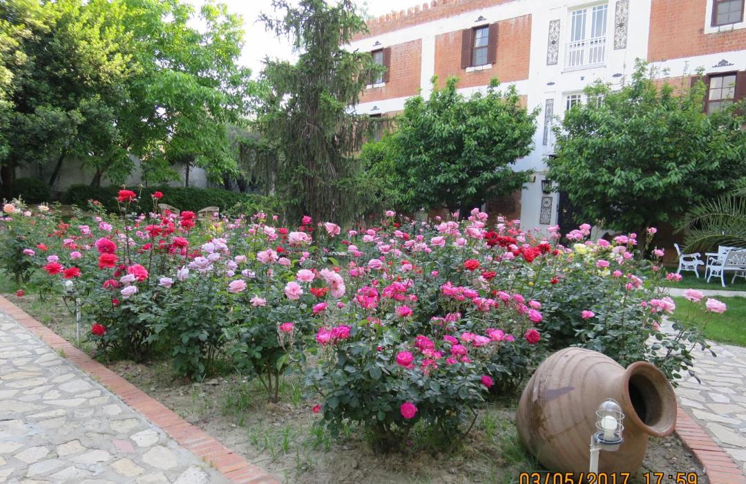 Photo of Others in Selcuk
