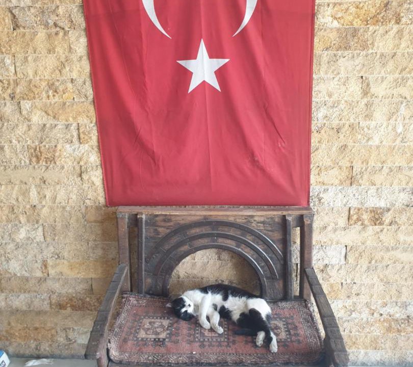 Photo of Others in Denizli